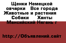 Щенки Немецкой овчарки - Все города Животные и растения » Собаки   . Ханты-Мансийский,Нягань г.